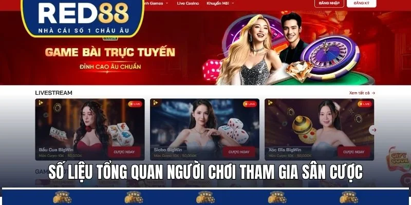 Số liệu tổng quan về người chơi tham gia sân cược