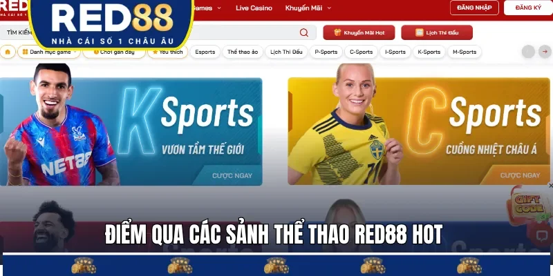 Chuyên mục hợp tác với nhiều đối tác thể thao hàng đầu